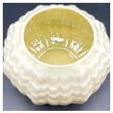 Belleek Limpet Pattern Cream Porcelain Tea Set with Cups, Saucers, Creamer, Sugar, and Shakers