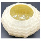 Belleek Limpet Pattern Porcelain Tea Set with Creamer, Sugar, and Shakers