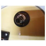 Electric Guitar & Case