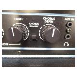 Acoustic AG15 Guitar Amp