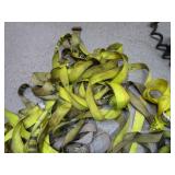 Ratchet Tie Down Straps Ratchet Tie Down Straps