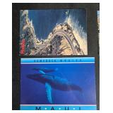 Large Collection of Assorted Blank Travel Postcards