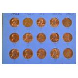 US Wheat and Indian Head Cent Collection in Whitman Folders, 1880s-1940s