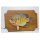 Mounted Bluegill Taxidermy Wall Decor on Wood Plaque 11 Inch