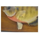 Mounted Bluegill Taxidermy Wall Decor on Wood Plaque 11 Inch