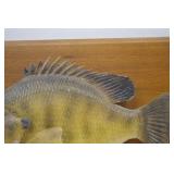 Mounted Bluegill Taxidermy Wall Decor on Wood Plaque 11 Inch