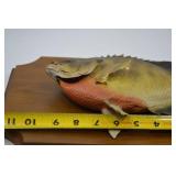 Mounted Bluegill Taxidermy Wall Decor on Wood Plaque 11 Inch