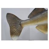 Mounted Walleye Fish Taxidermy on Driftwood, Approx. 31 Inches
