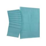 1 Case (500 each) NEW Braval 143-7771 Single-Use 2-Ply Tissue + 1-Ply PE Patient Bibs - Blue