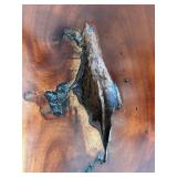 Live Edge Carved Wood Console Table with Natural Root Base