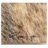 Rowan Nyman Signed Bighorn Bromance Canvas Print with Certificate