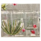 Sue Wong Nocturnes 100% Silk Sheer Scarf with Embroidered Flowers