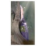 Anne Klein Long Navy Trench Coat with Fur Collar and Removable Fur Lining