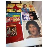 Huge Lot of Record Albums