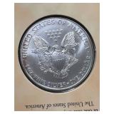 THE MILLENNIUM SILVER EAGLE 2000 IN COLOR