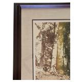 LR - Forest Walk Framed Artwork by Georges Truegard