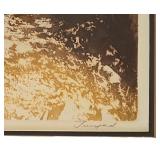 LR - Forest Walk Framed Artwork by Georges Truegard