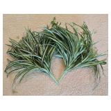 O - Lucio 16" x 33" Mirrored Tray with Faux Foliage Wall Decor Set
