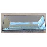 O - Lucio 16" x 33" Mirrored Tray with Faux Foliage Wall Decor Set