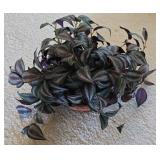 Ml-BR-1 - Collection of Faux Foliage Arrangements with Baskets and Metal Wall Pockets