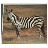 LR - Mixed Decor Collection: Framed Zebra Art, Large Wood Tray, Bowls, Plates & Themed Picture Frames