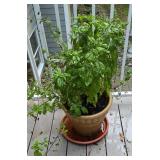 D - Outdoor Patio Set with 3 Rail Baskets, 2 Round and 1 Square Tables, Herb Planter