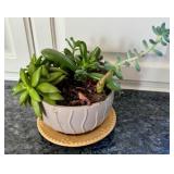 K - Assorted Succulent Arrangement in Ceramic Planter