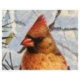Marc R. Hanson Framed Print Red Pine and Northern Cardinals
