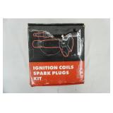 Spark Plug/Coil kit