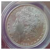 1884 Morgan Dollar - ANACS MS61