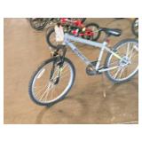 Roadmaster 24" Men