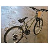 Roadmaster 24" Men