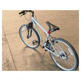 Roadmaster 24" Men