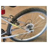 Roadmaster 24" Men