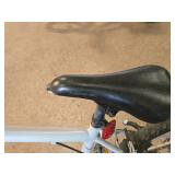 Roadmaster 24" Men
