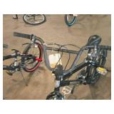 Mongoose 20" Boy