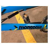 Mongoose Index 20" Boy