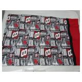 Dale Earnhardt JR Pillow Case