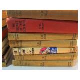 Hardy Boys Books Vintage