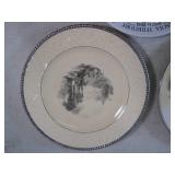 (D-2) Collector Plates with A Bunch...