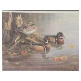 Framed signed Numbered Wildlife Print w/Ducks