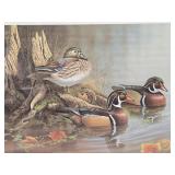 Framed signed Numbered Wildlife Print w/Ducks