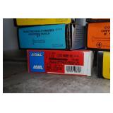 Assorted Screws and Nails