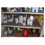 Contents of Cabinet - Chemicals, Paint, Bottle Jack