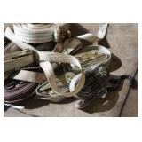 Assorted Ratchet Straps