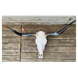Bull Skull with Horns Wall Decor - Purchased from Ranch in Texas
