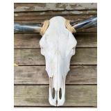 Bull Skull with Horns Wall Decor - Purchased from Ranch in Texas