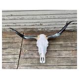 Bull Skull with Horns Wall Decor - Purchased from Ranch in Texas