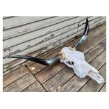Bull Skull with Horns Wall Decor - Purchased from Ranch in Texas