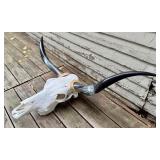 Bull Skull with Horns Wall Decor - Purchased from Ranch in Texas